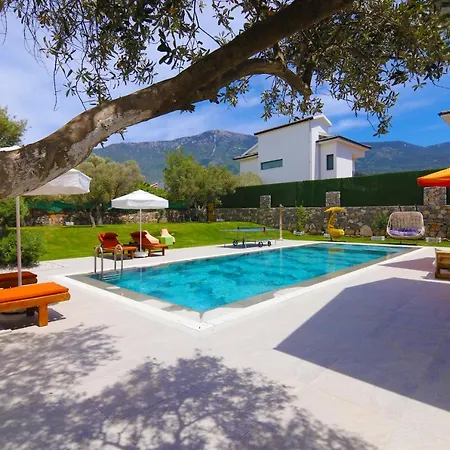 别墅 Golondrina 费特希耶